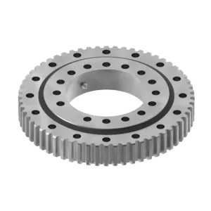 Slewing Bearing